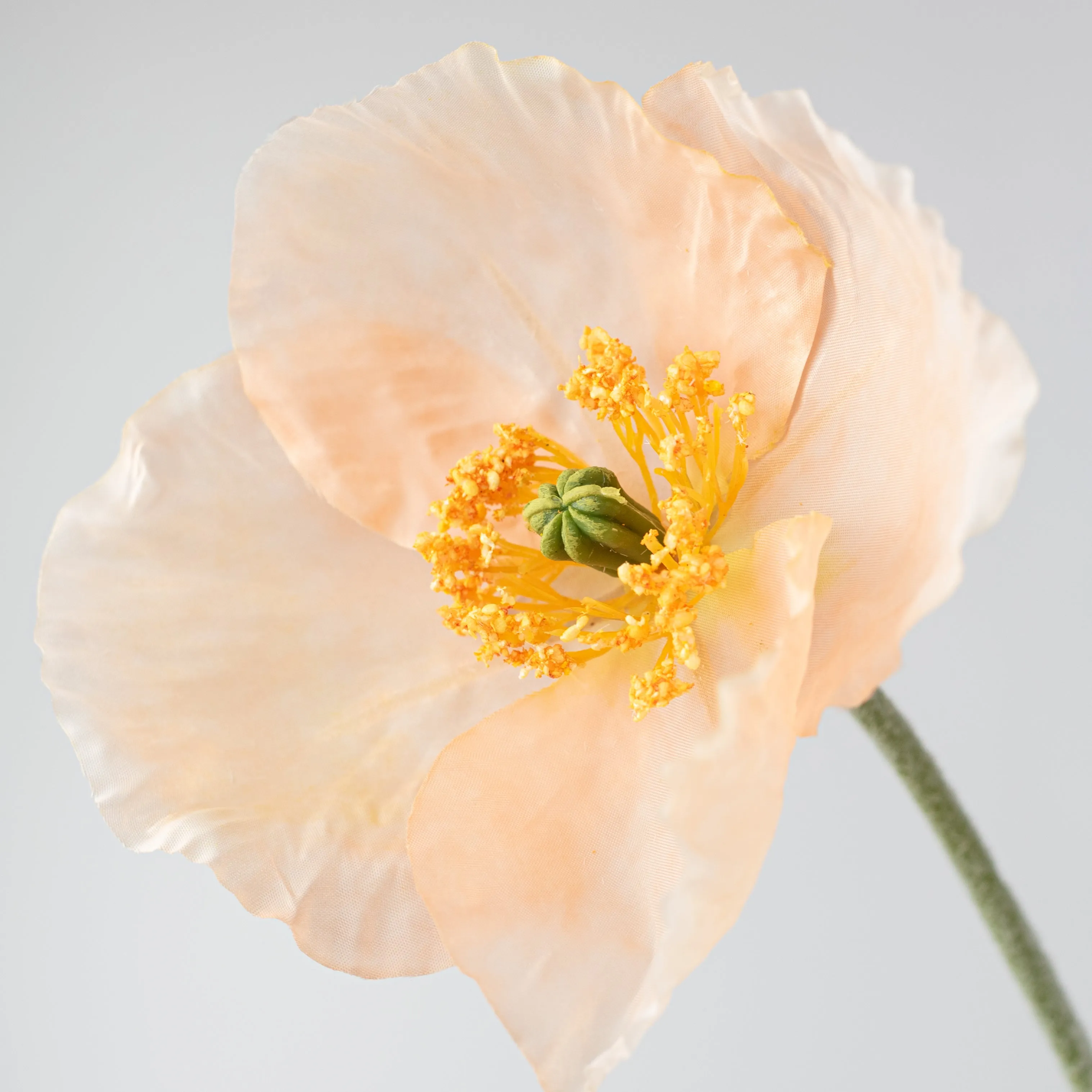 29" Poppy Flower Spray: Peach