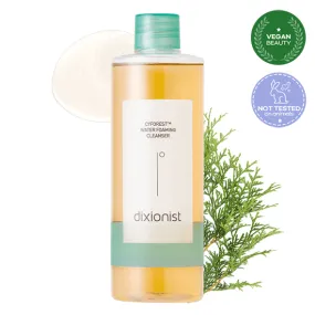 dixionist Cyforest Water Foaming Cleanser 350ml