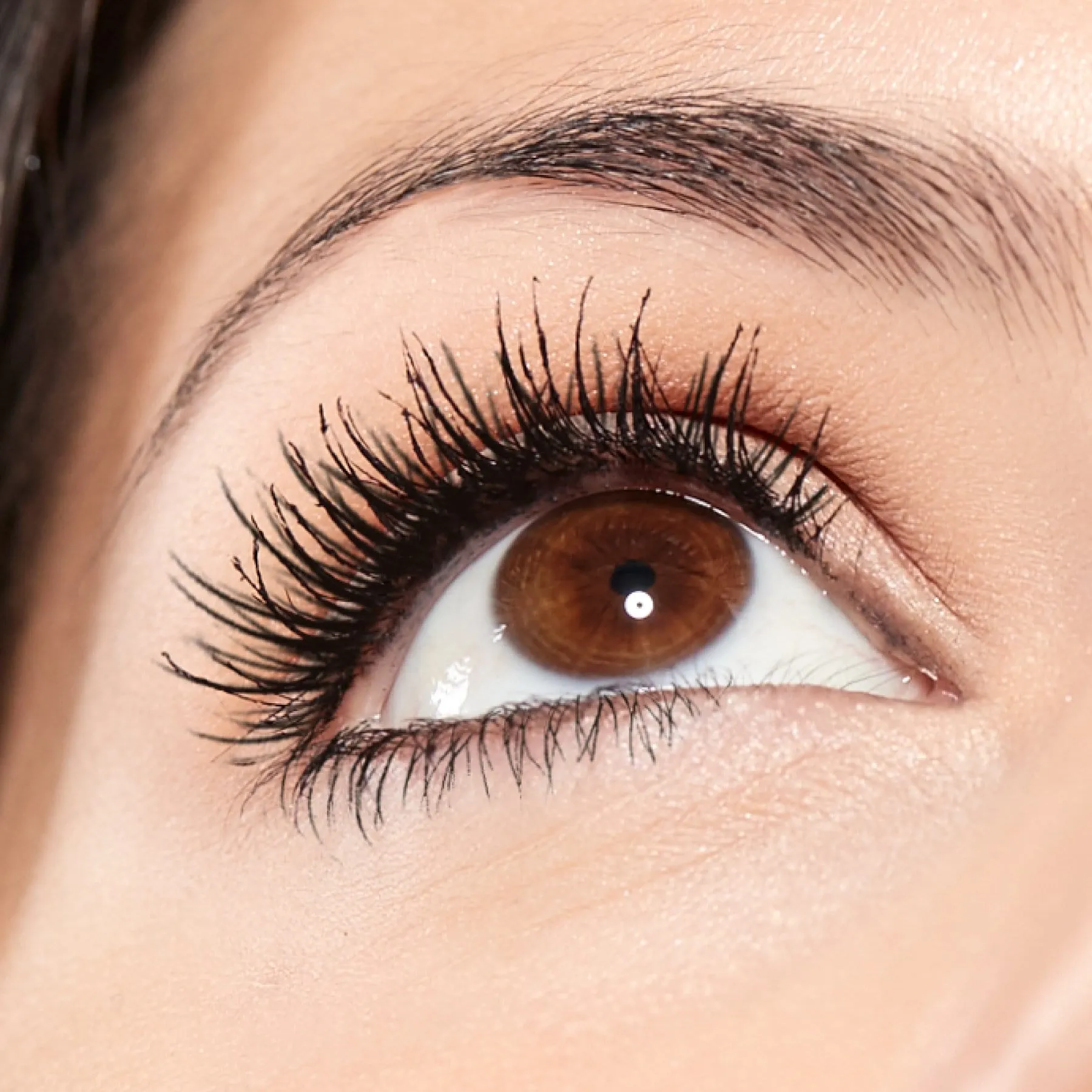 Lash whip 24hr Mascara   Supreme Long Wear Eye Liner
