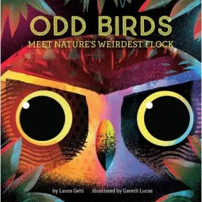 Odd Birds BB