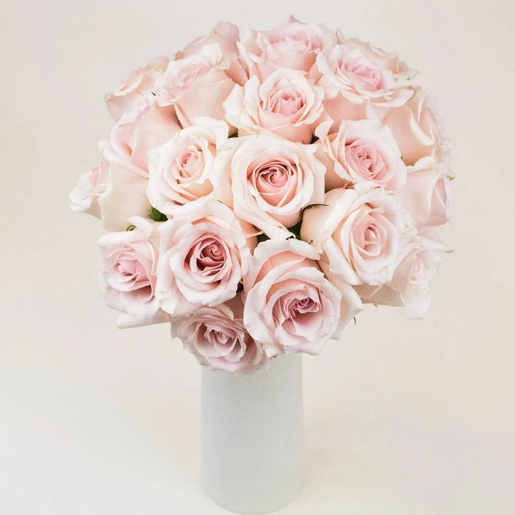 Slightly Nude Rose