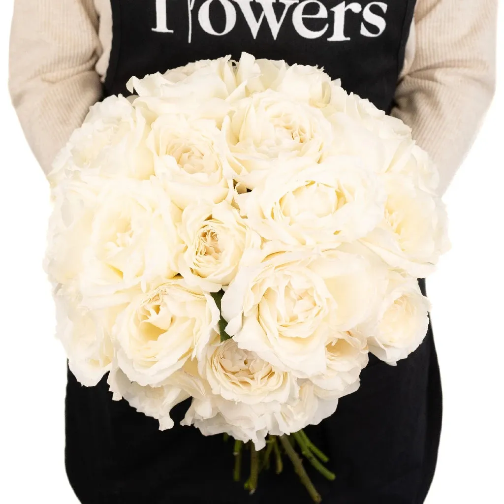 Whisper White Garden Rose